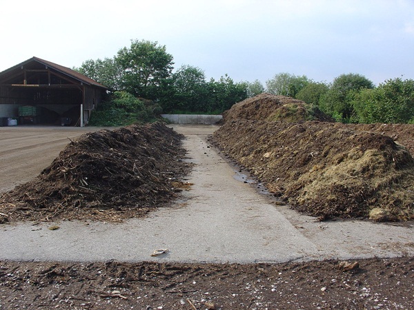 Phân compost là giải pháp tối ưu để bảo vệ đất