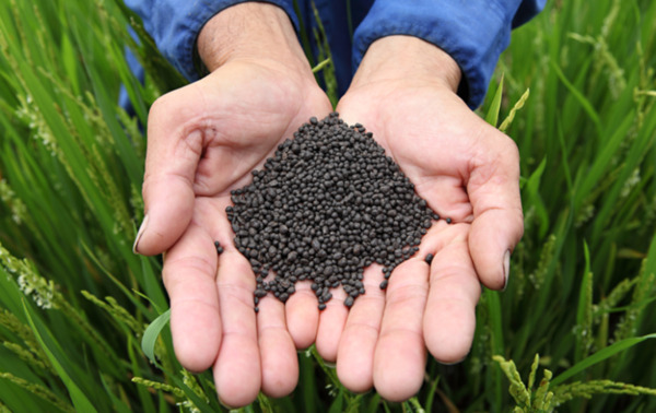 Phân hữu cơ khoáng ngày càng được sử dụng phổ biến trong nông nghiệp