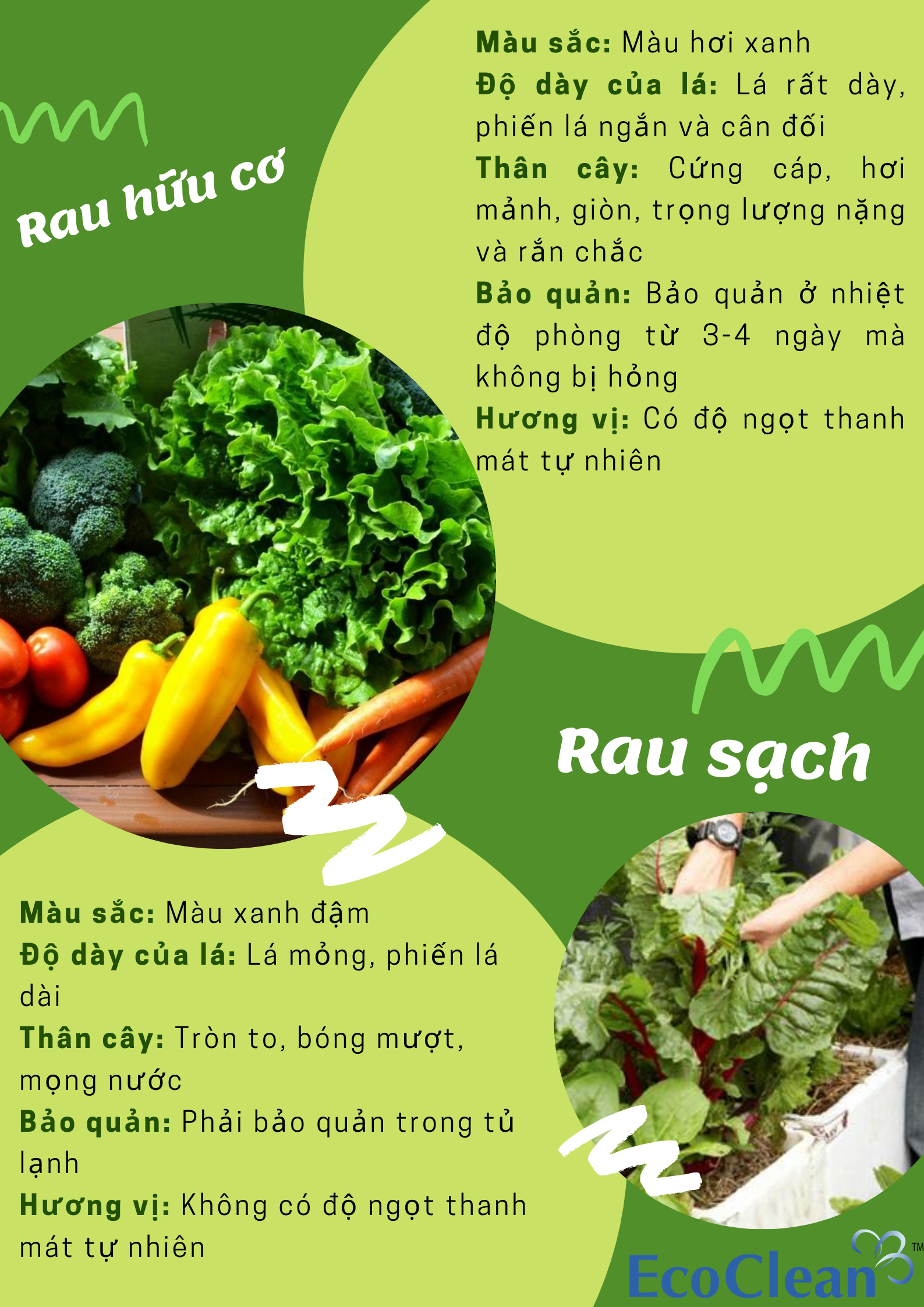 Vì sao cần chúng ta cần phải phân biệt rau sạch và rau hữu cơ?