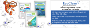 che-pham-sinh-hoc-ecoclean