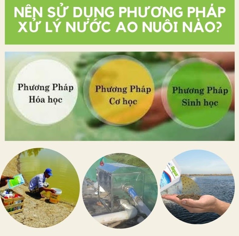 phuong-phap-xu-ly-nuoc-ao-nuoi
