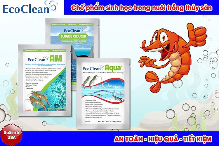 Chế phẩm vi sinh Ecoclean AM, Aqua chuyên hỗ trợ trí đóng rong trên tôm sú