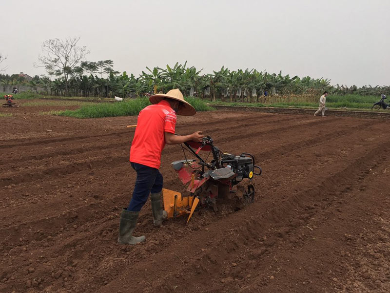 bien phap tang do phi nhieu cua dat