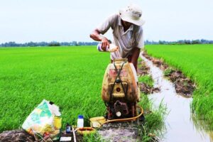 luu-y-khi-su-dung-thuoc-diet-co-tu-che