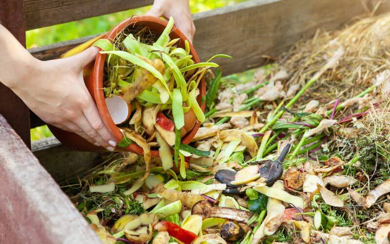 u-phan-bang-mat-ri-duong