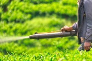 thuoc-diet-co-luu-dan